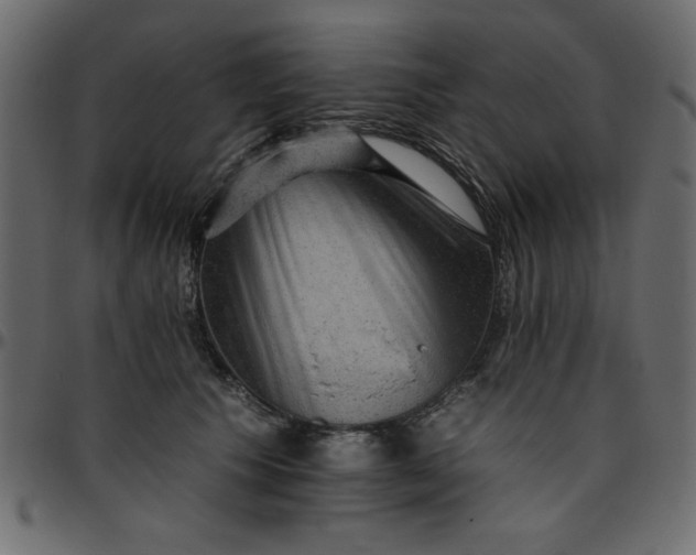 X0000095670609200801221206