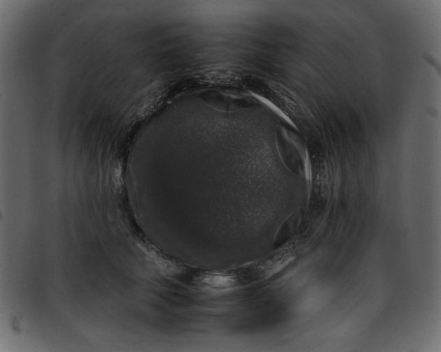 X0000095670610200801221206