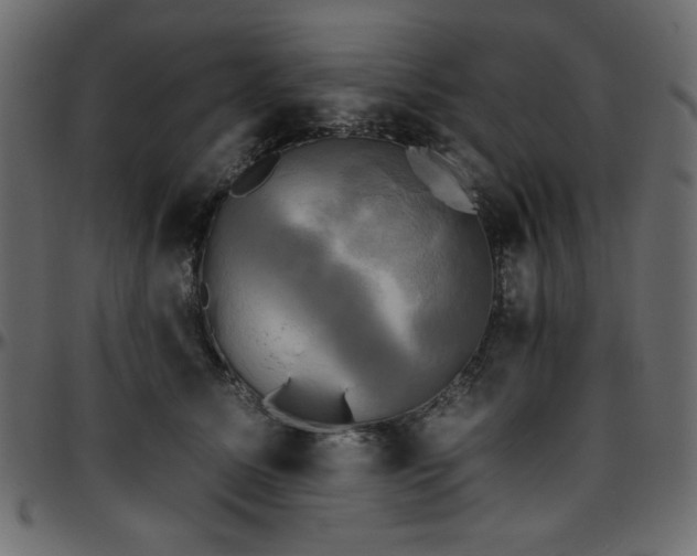 X0000095670611200801221206