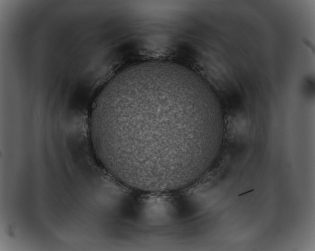 X0000095670612200801221206