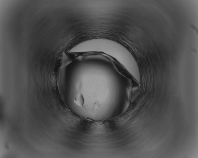 X0000095670613200801221206