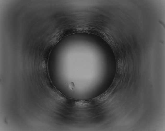 X0000095670614200801221205