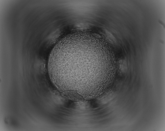 X0000095670615200801221205