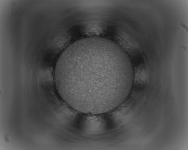 X0000095670616200801221205