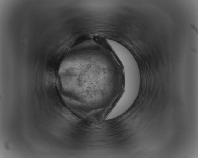 X0000095670617200801221205