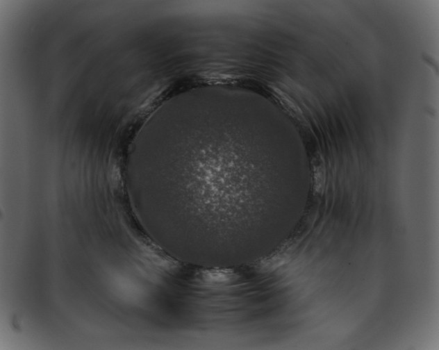 X0000095670618200801221205