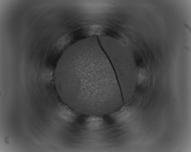 X0000095670619200801221205