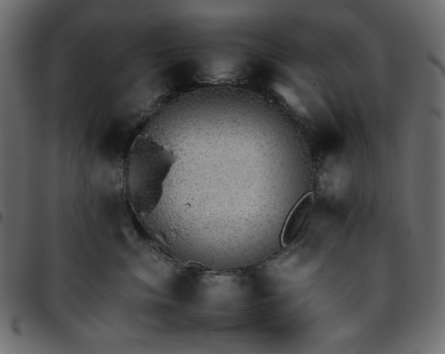 X0000095670620200801221205