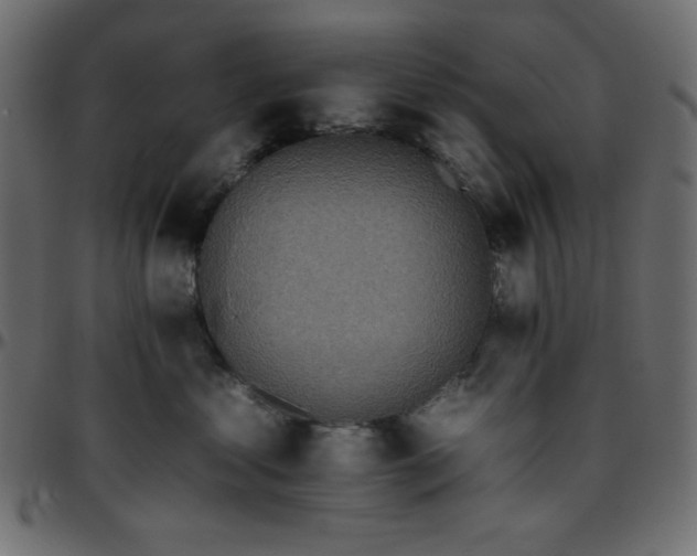 X0000095670621200801221205