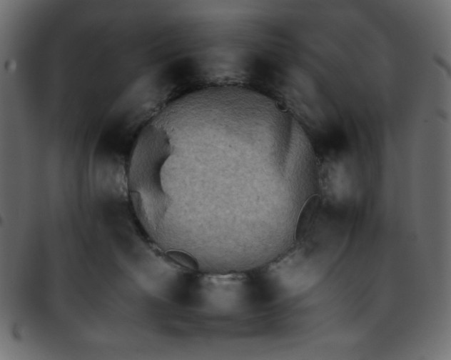 X0000095670622200801221205