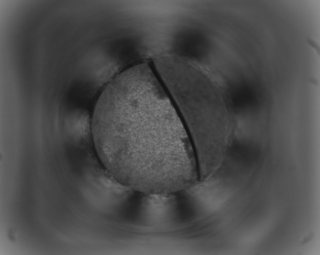 X0000095670623200801221205