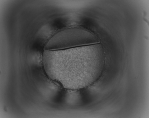 X0000095670624200801221205