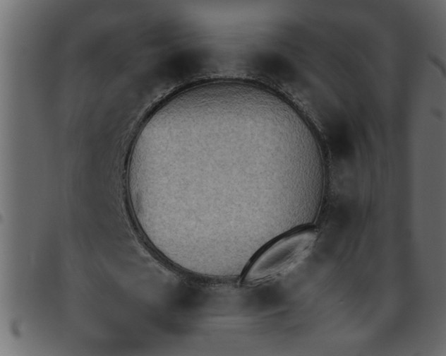 X0000095670625200801221205