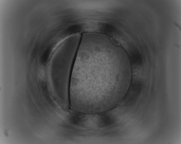 X0000095670626200801221205