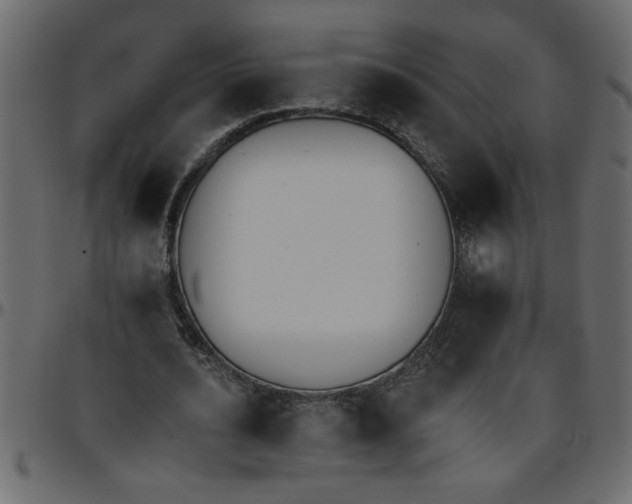 X0000095670628200801221205