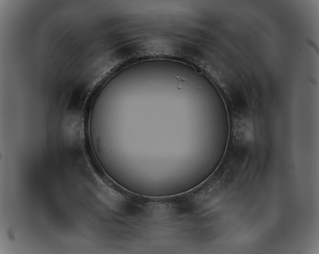 X0000095670629200801221205