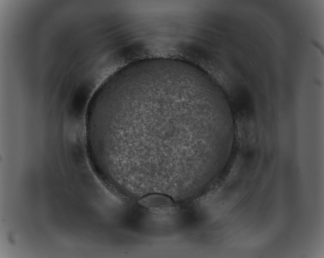 X0000095670630200801221205