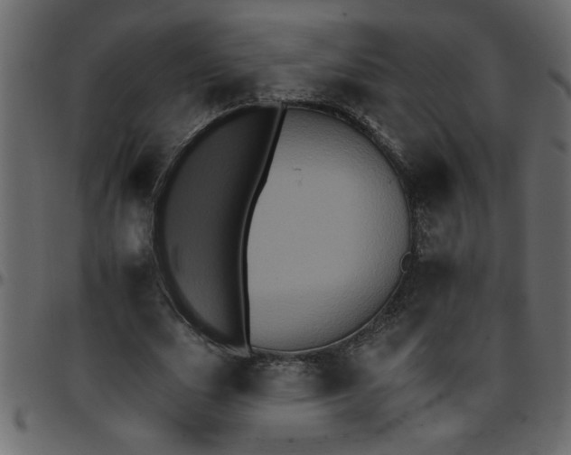 X0000095670631200801221205