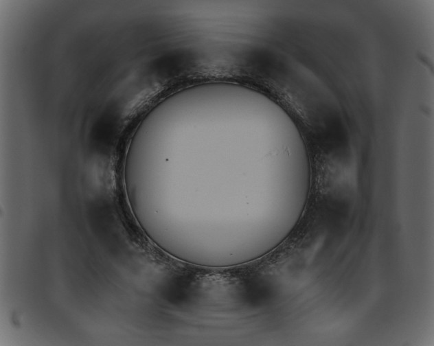 X0000095670635200801221205