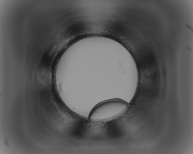 X0000095670636200801221205