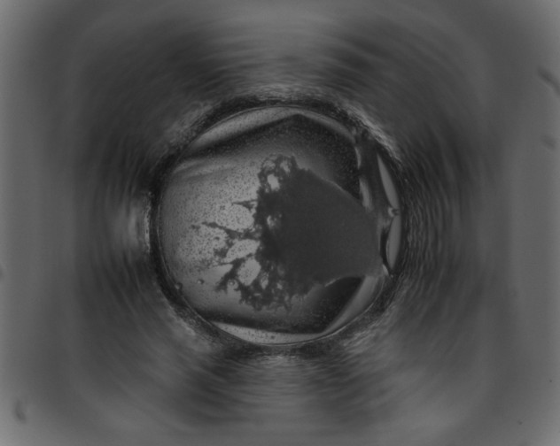 X0000095670637200801221205