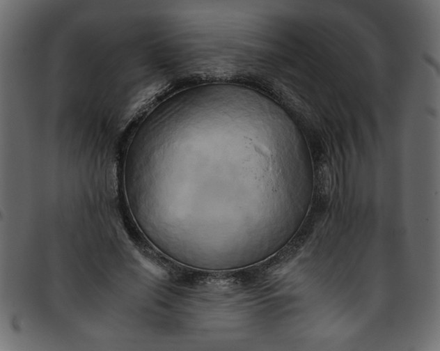 X0000095670638200801221205