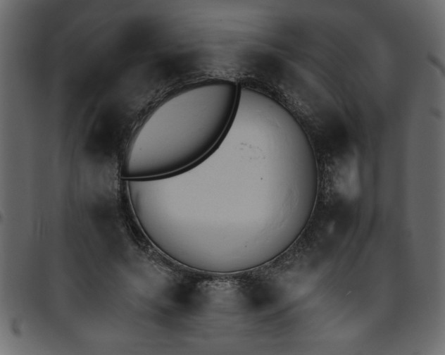 X0000095670639200801221205