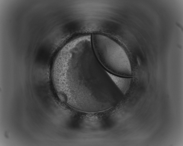 X0000095670640200801221205