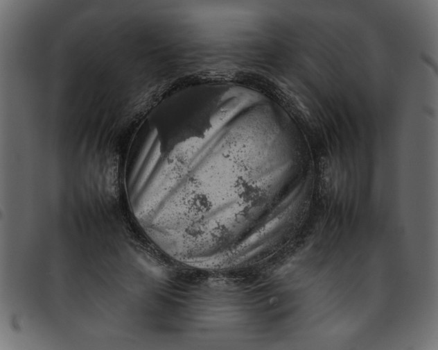 X0000095670641200801221205