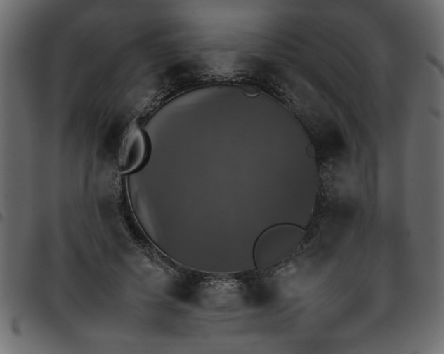 X0000095670642200801221205