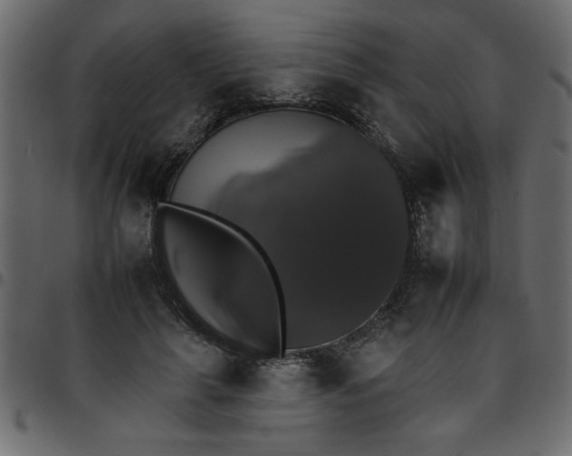 X0000095670643200801221205