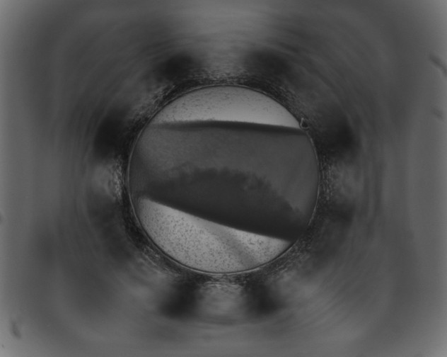 X0000095670644200801221205