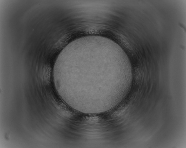 X0000095670645200801221205