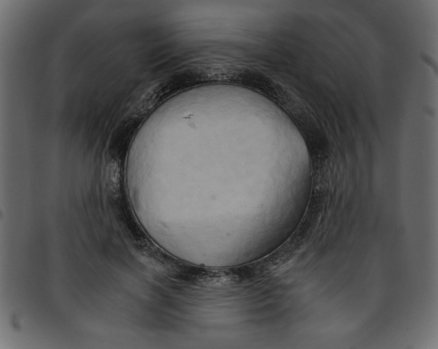 X0000095670646200801221205