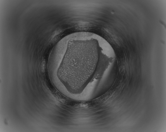 X0000095670647200801221205