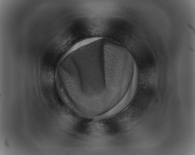 X0000095670648200801221205