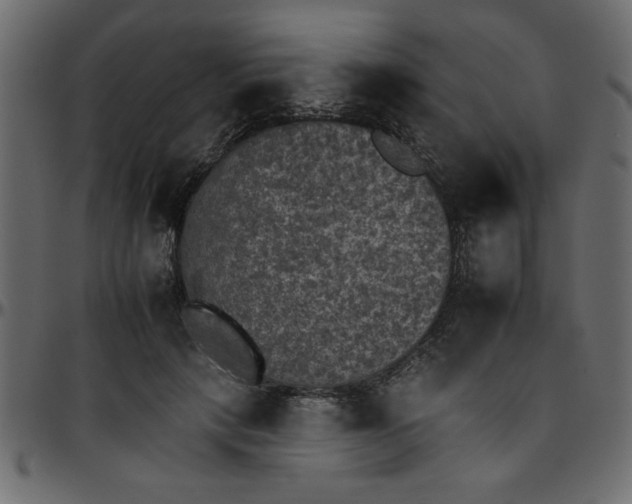 X0000095670649200801221205