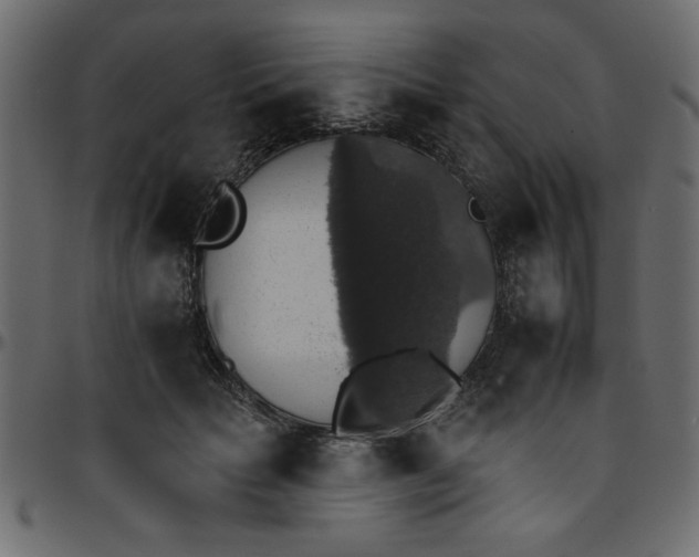 X0000095670653200801221205