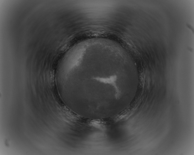 X0000095670657200801221205