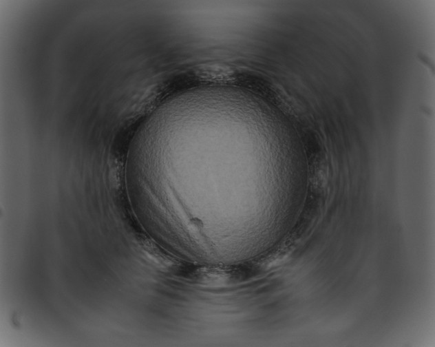 X0000095670658200801221205