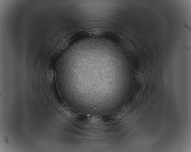 X0000095670660200801221205