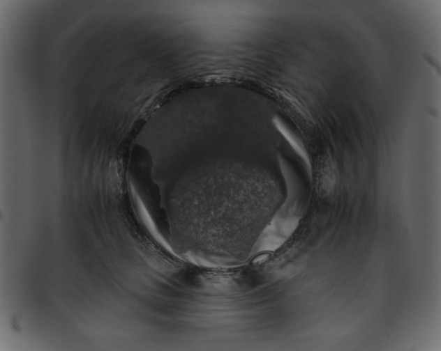 X0000095670661200801221205