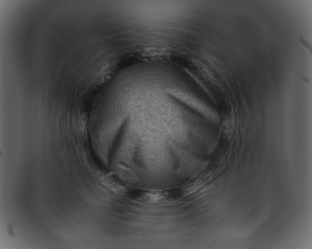 X0000095670662200801221205