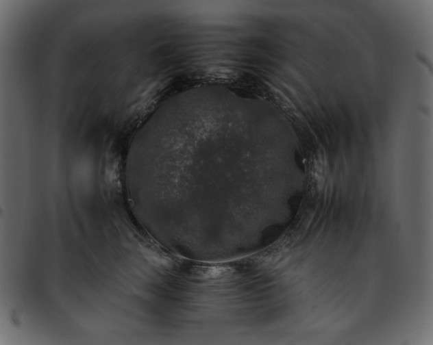 X0000095670663200801221205