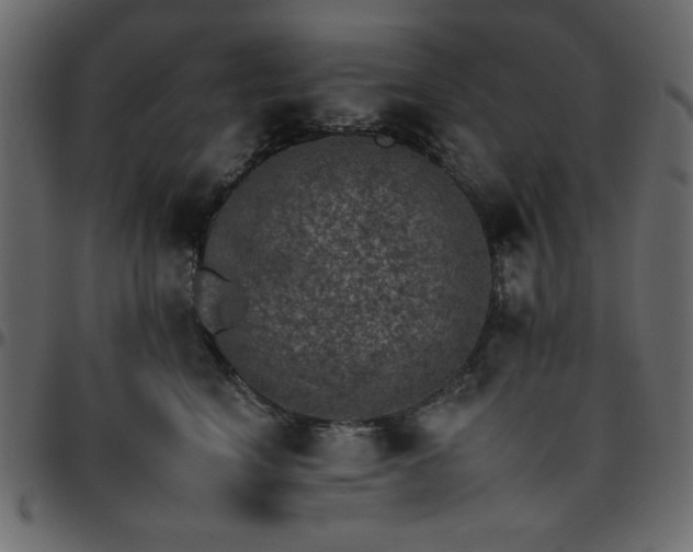 X0000095670664200801221205