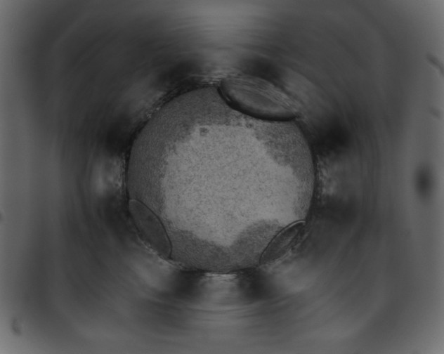 X0000095670665200801221205