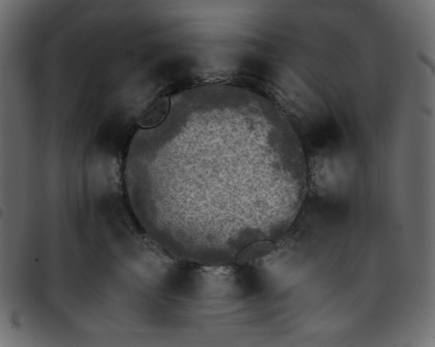 X0000095670667200801221205