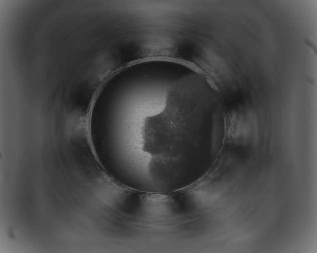 X0000095670669200801221205