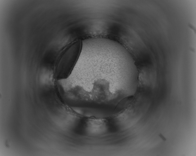 X0000095670671200801221205