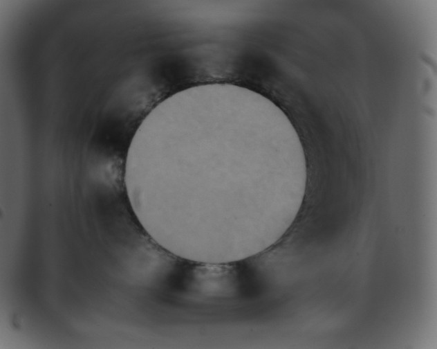 X0000095670672200801221205